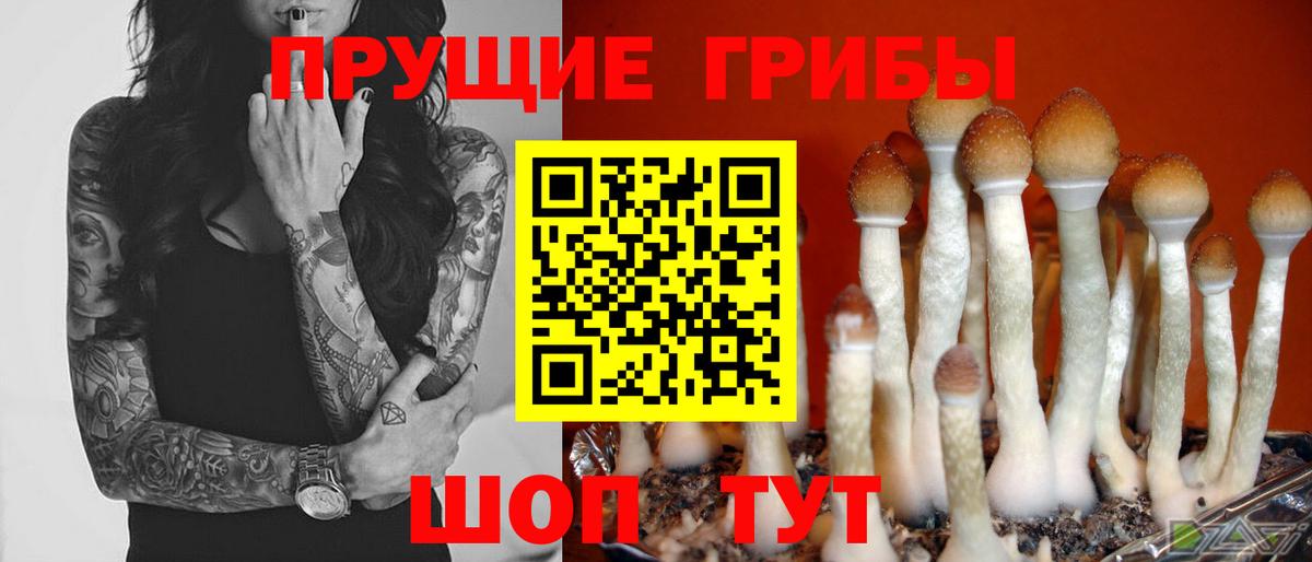 Псилоцибиновые грибы прущие грибы Мыски